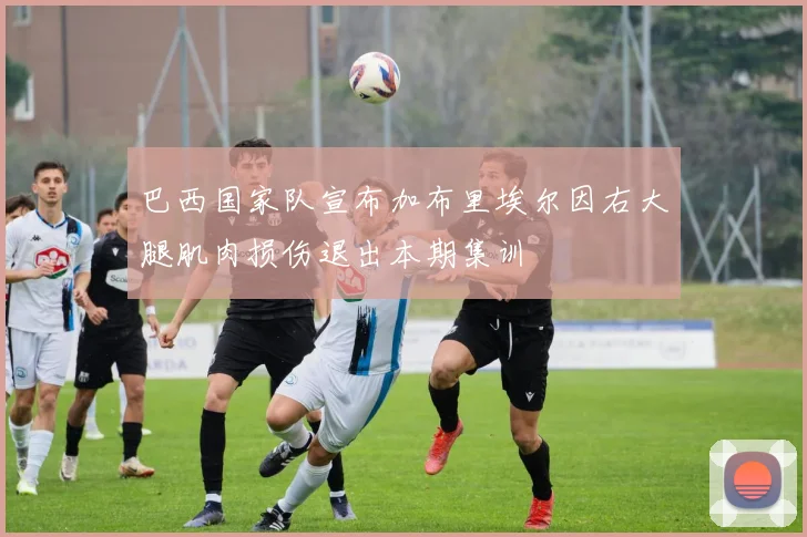 巴西国家队宣布加布里埃尔因右大腿肌肉损伤退出本期集训